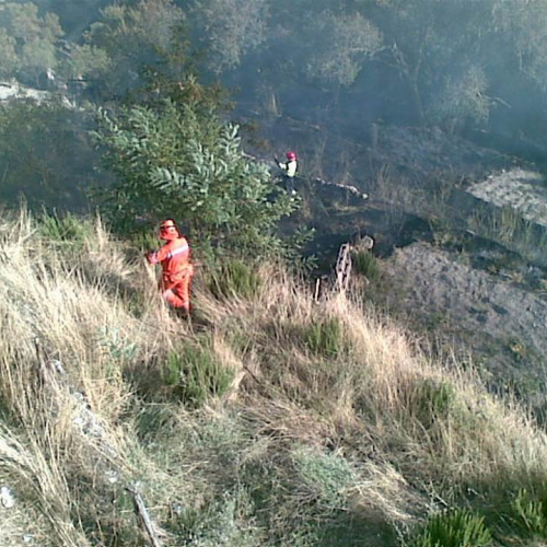 8∞ Turno Puglia 2011 n. 24 / 69735
