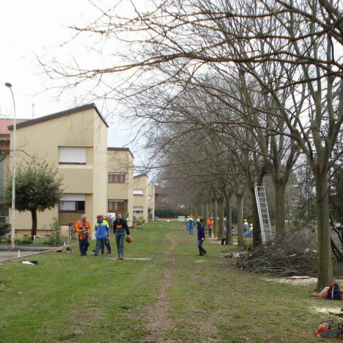 Foto quarta sessione corso motosega (Cordenons) n. 30 / 36715