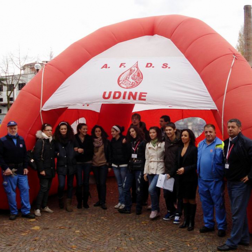 Attidi supporto AFDS 5 / 44851
