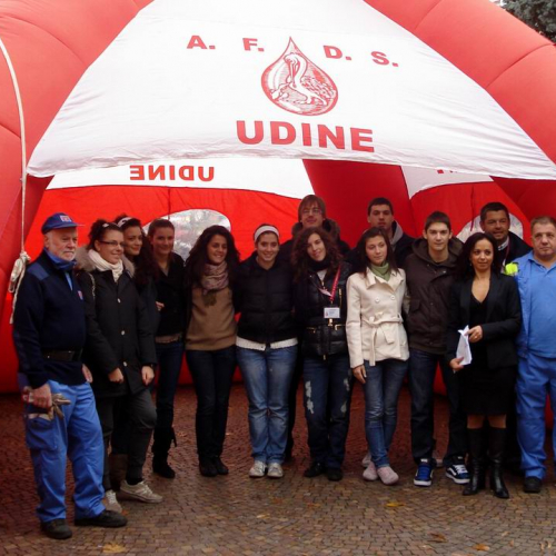 Attidi supporto AFDS 6 / 44852