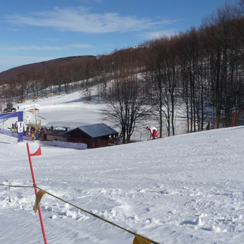 Gara di Fondo e Snowboard (CIMONE 2011) n. 45 / 60784