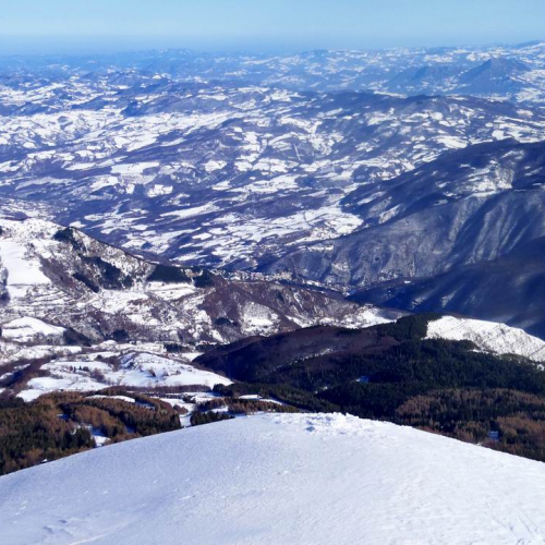 Gara di Fondo e Snowboard (CIMONE 2011) n. 52 / 60791