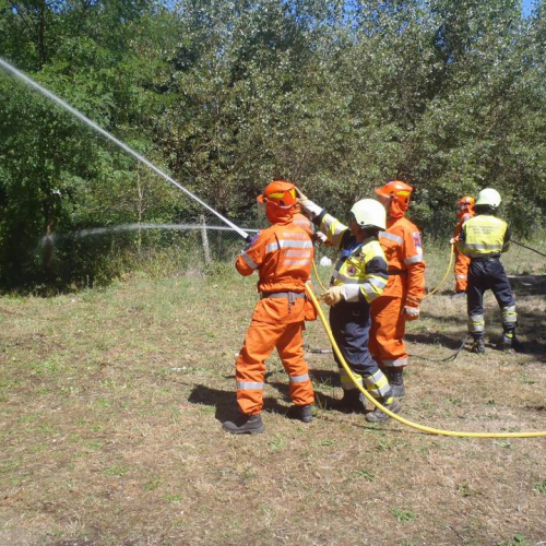 8∞ Turno Puglia 2011 n. 60 / 69771