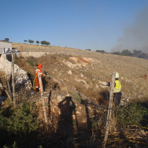 8∞ Turno Puglia 2011 n. 78 / 69789