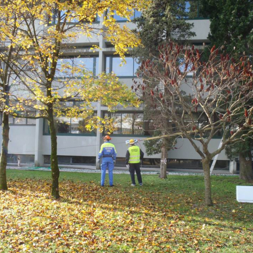 Foto attivit‡ J.F.Kennedy n. 20 / 58817