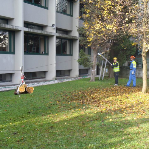 Foto attivit‡ J.F.Kennedy n. 24 / 58821