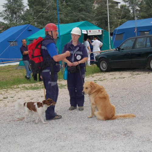 045 Ricerca persona scomparsa / 12252