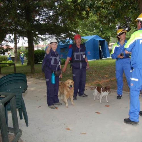 047 Ricerca persona scomparsa / 12254