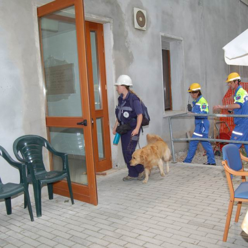 048 Ricerca persona scomparsa / 12255