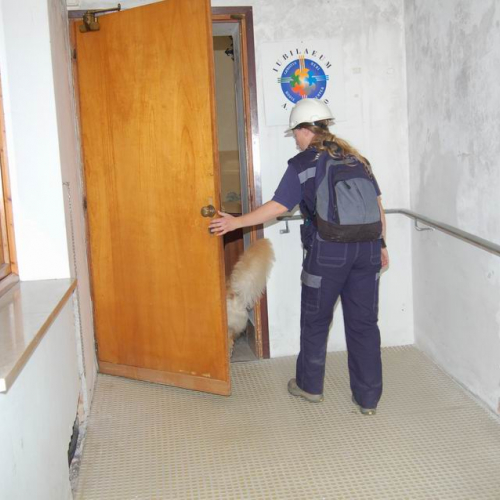049 Ricerca persona scomparsa / 12256