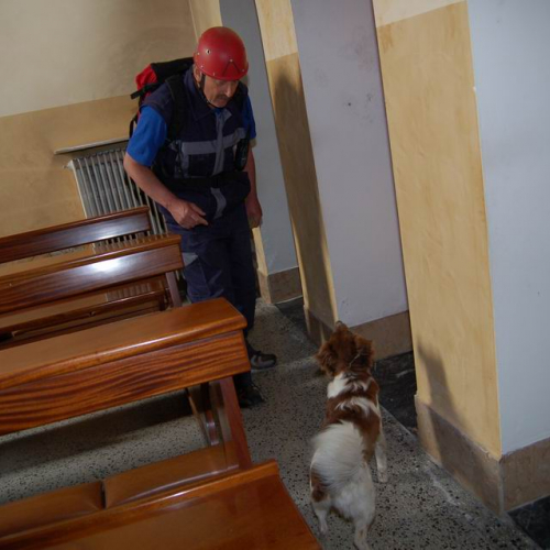 053 Ricerca persona scomparsa / 12260