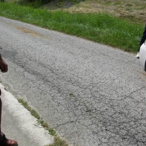 Intervento urgente di Protezione civile in comune di Lauco n.10 / 30282