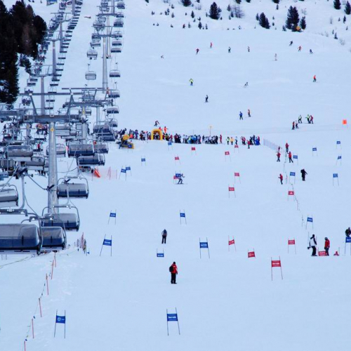 Slalom Gigante n. 11 / 47477