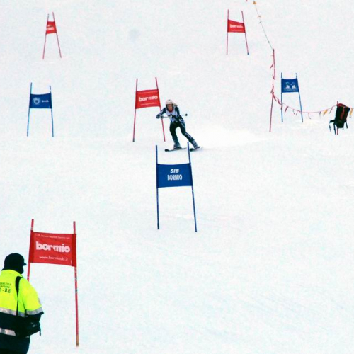 Slalom Gigante n. 12 / 47478