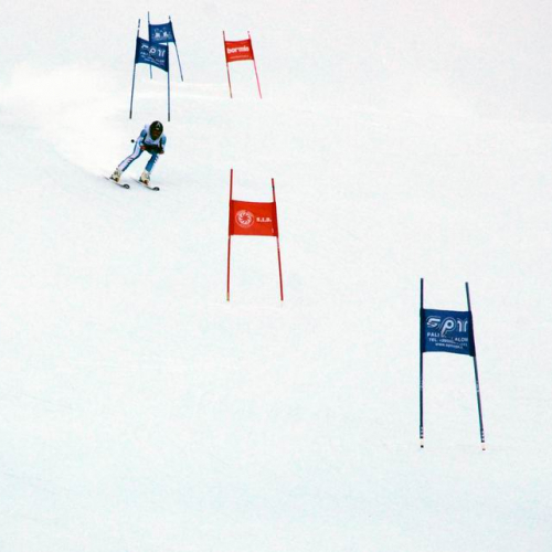 Slalom Gigante n. 15 / 47481