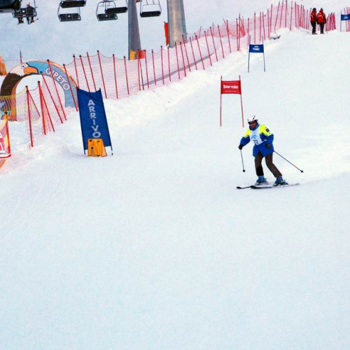 Slalom Gigante n. 19 / 47485