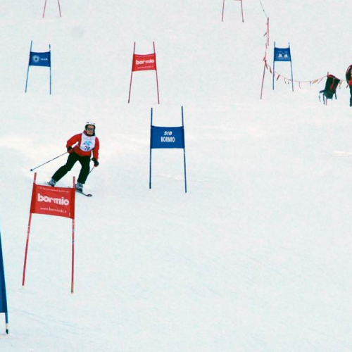 Slalom Gigante n. 20 / 47486