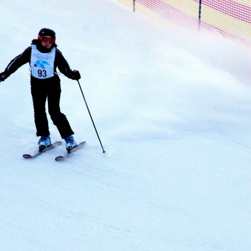 Slalom Gigante n. 23 / 47489