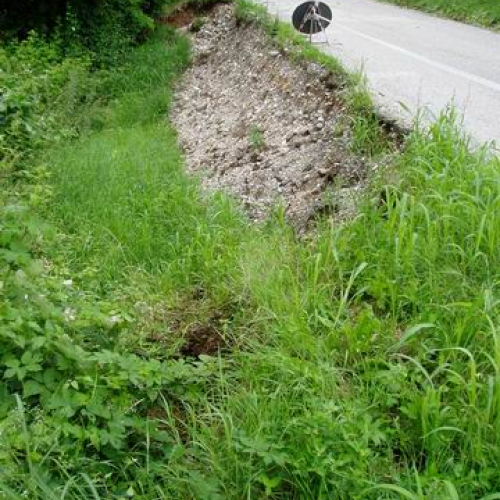 Intervento urgente di Protezione civile in comune di Dolegna del Collio n.5 / 31033