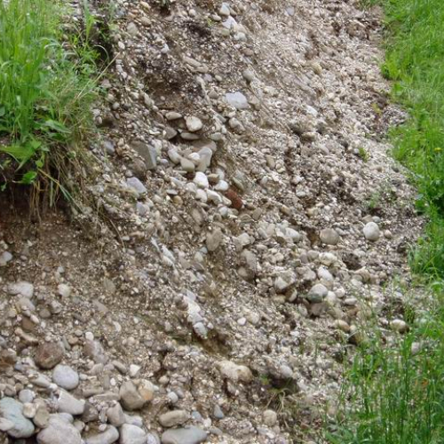 Intervento urgente di Protezione civile in comune di Dolegna del Collio n.9 / 31037