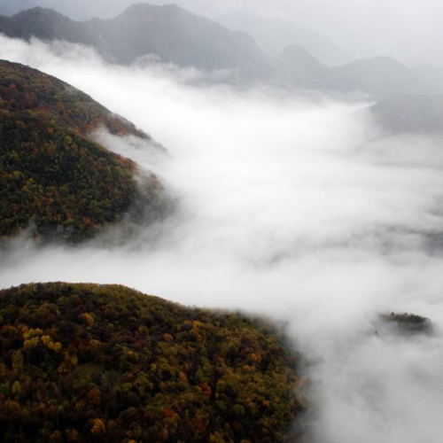 Foto danni alluvione n. 101 / 57607