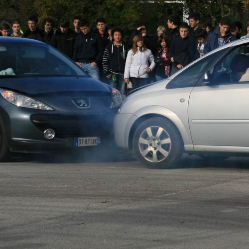 VIII Giornata Nazionale della Sicurezza nelle Scuole n. 28 / 58859