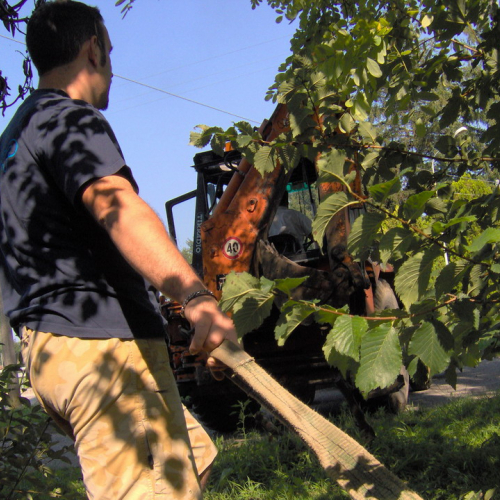 Intervento 08/08/10 n. 1 / 55070