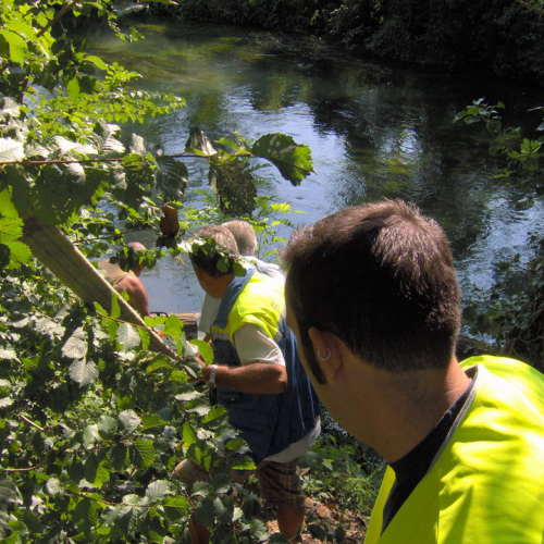 Intervento 08/08/10 n. 2 / 55071