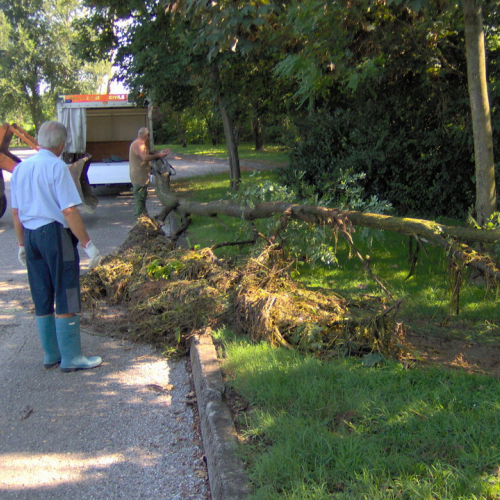 Intervento 08/08/10 n. 5 / 55074