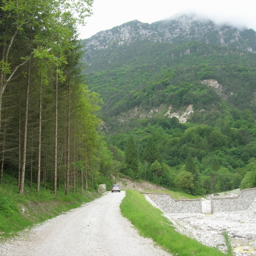 foto CD/R05/051 n. 11 (Rio Forchia - pista accesso) / 24991