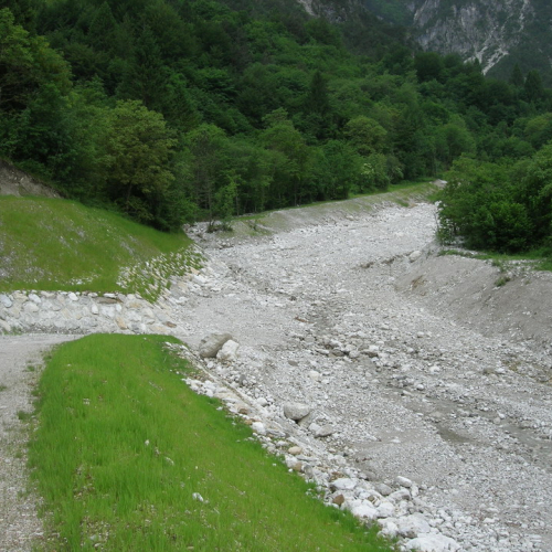 foto CD/R05/051 n. 12 (Rio Forchia - pista accesso) / 24992