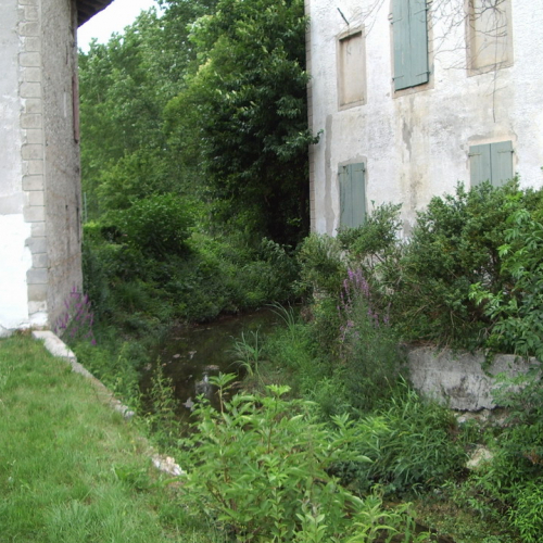 Roggia Mussa foto2 prima / 22862