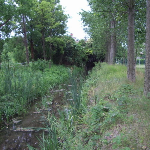 Roggia Mussa foto3 prima / 22864