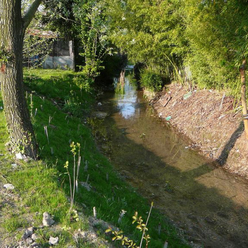 Roggia Mussa foto4 dopo / 22867