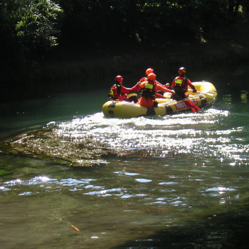 Attivit‡ Sagra dei Osei" n. 9""ttivit‡ "Sagra dei O""tivit‡ "Sag""ivi" / 55335