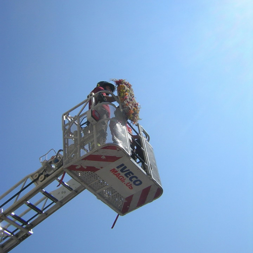 Attivit‡ Sagra dei Osei" n. 14""ttivit‡ "Sagra dei Os""tivit‡ "Sagr""ivit" / 55340