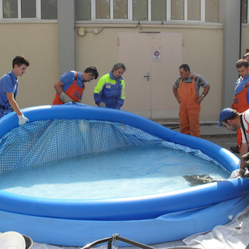 Addestramento AIB del 30/06/12 n. 12 / 84259