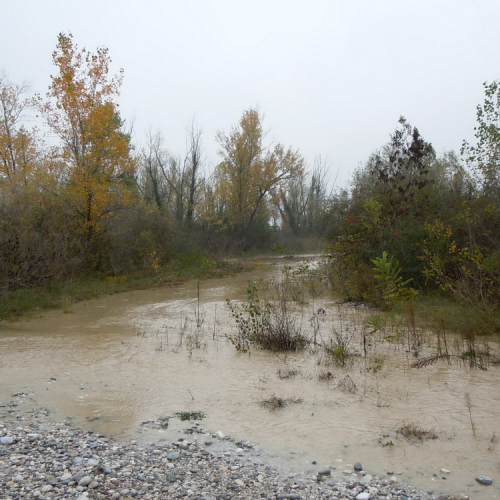 SAN GIORGIO DELLA RICHINVELDA (2).jpg / 87770