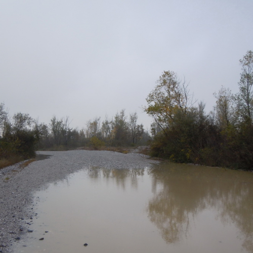 SAN MARTINO AL TAGLIAMENTO (2).jpg / 87772