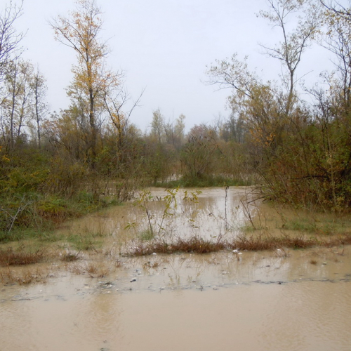 SAN MARTINO AL TAGLIAMENTO (4).jpg / 87774