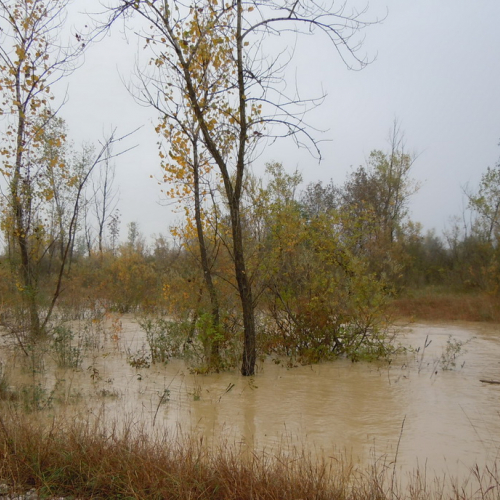 SAN MARTINO AL TAGLIAMENTO (5).jpg / 87775