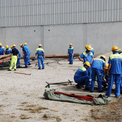 Montaggio tende n. 10 / 53586