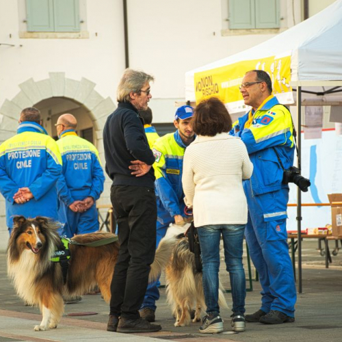 San Vito al Tagliamento 3 / 117337