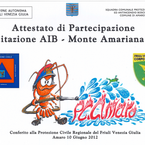 Attestato di partecipazione Fuoco in Pineit 2012"""ttestato di partecipa" / 82973