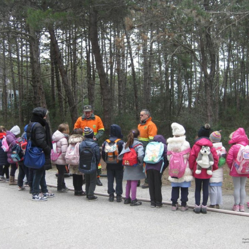 Attivit‡ con le scuole n. 5 / 92333