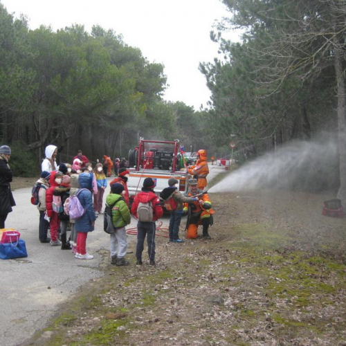 Attivit‡ con le scuole n. 8 / 92336