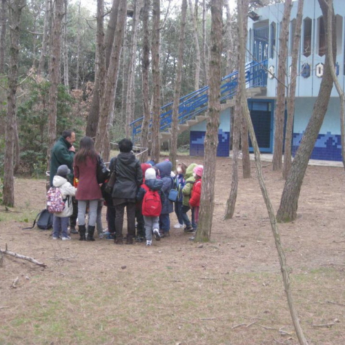 Attivit‡ con le scuole n. 12 / 92340