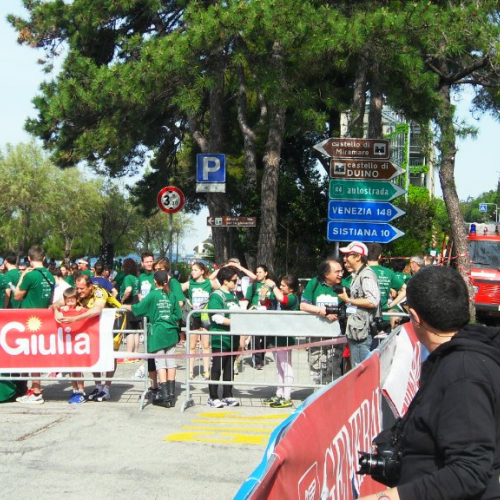 Attivit‡ supporto alla Bavisela 2013" n. 9""ttivit‡ supporto al" / 94622