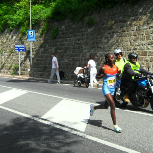 Attivit‡ supporto alla Bavisela 2013" n. 12""ttivit‡ supporto all" / 94625