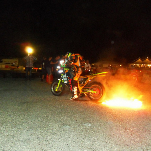 Attivit‡ di supporto a Muggia n. 3 / 97596